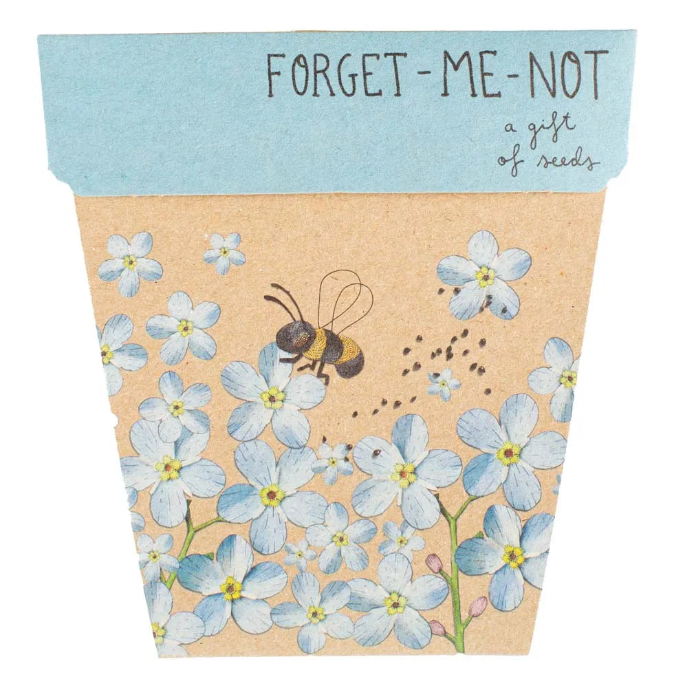 Sow 'n Sow Gift of Seeds - Forget-Me-Not