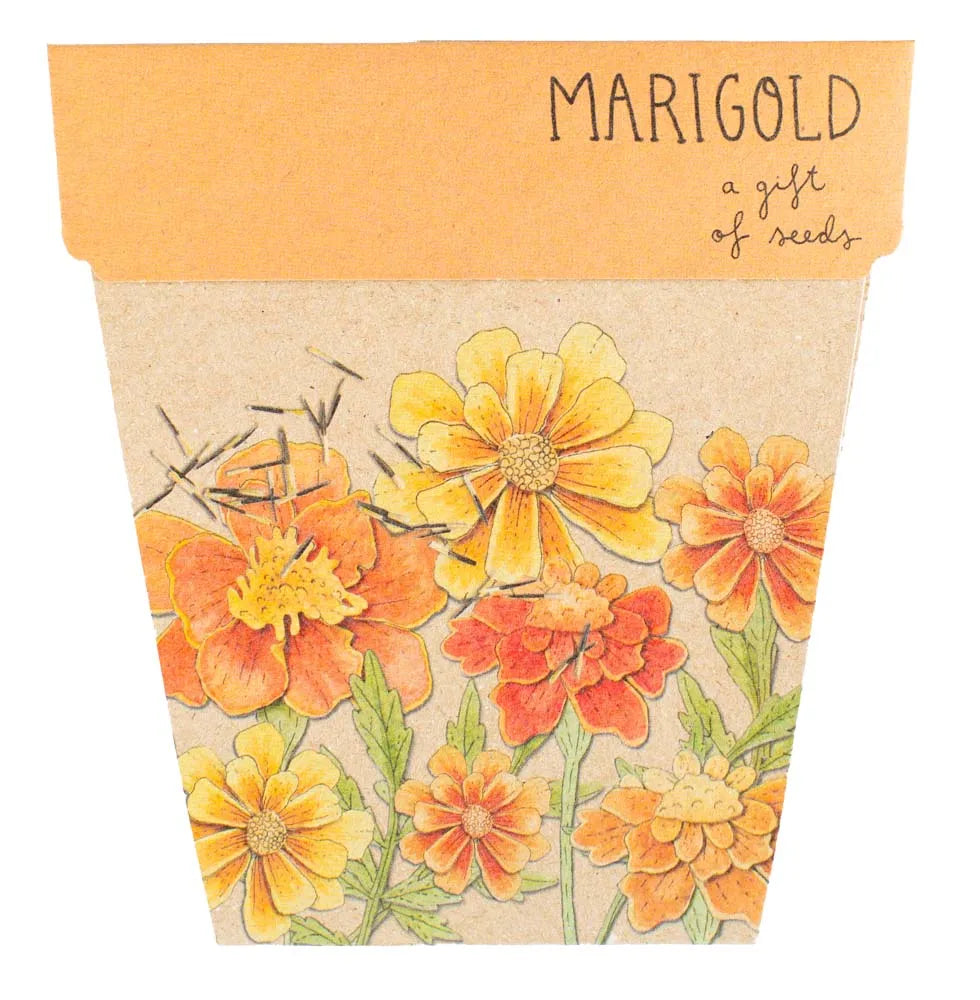 Sow 'n Sow Gift of Seeds - Marigolds