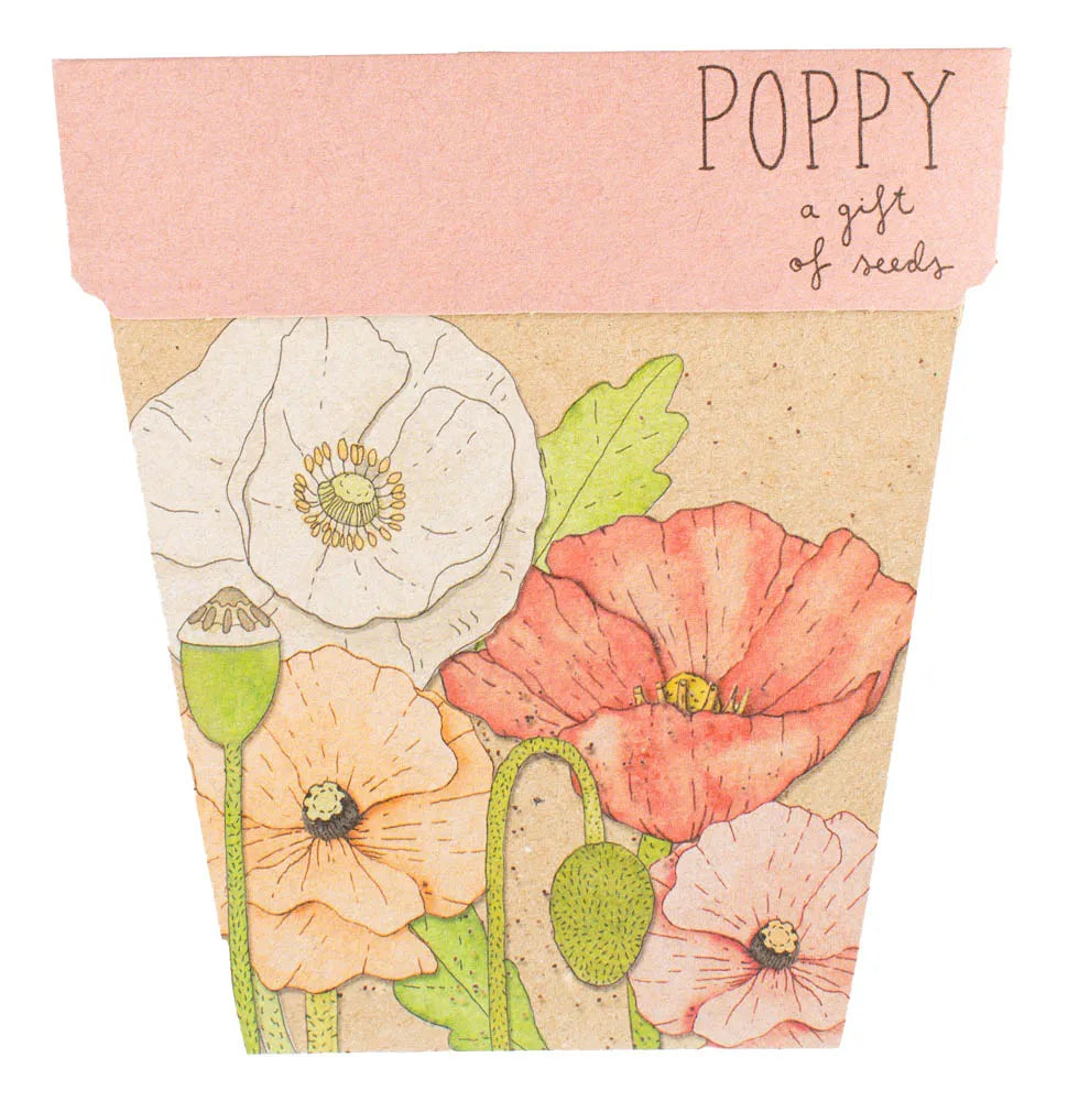 Sow 'n Sow Gift of Seeds - Poppy