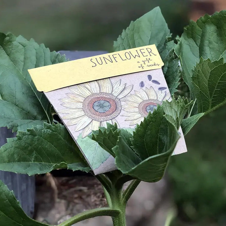 Gift of Seeds - Sunflower