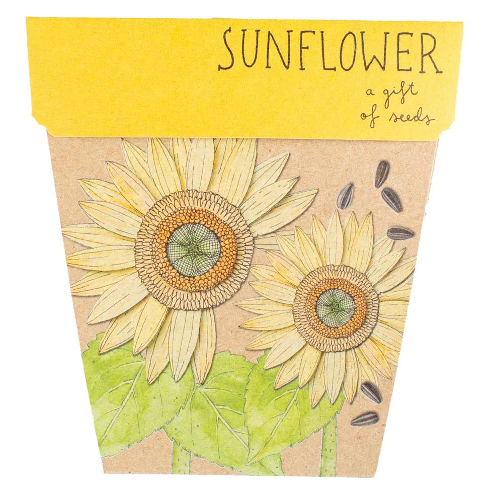 Gift of Seeds - Sunflower