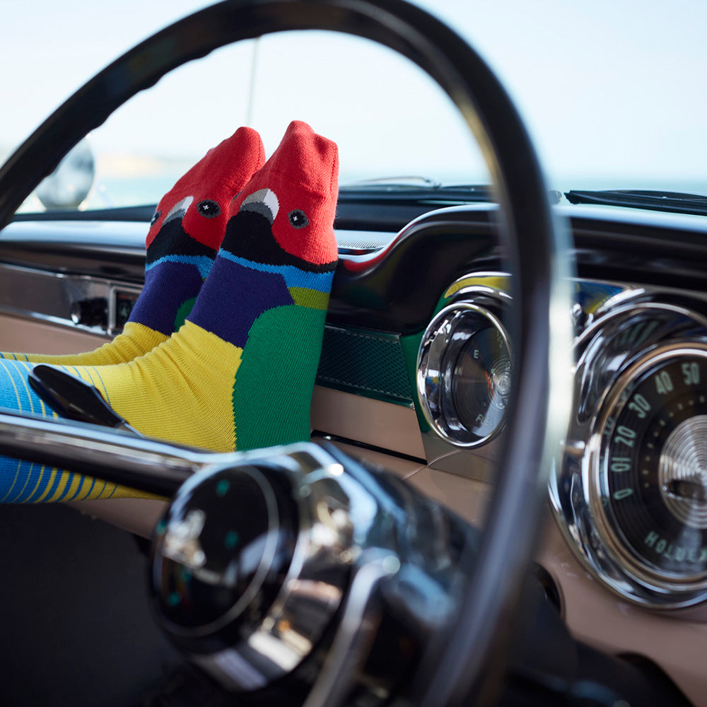 Gouldian Finch Socks, Designed and Made in Australia, Gifts for Bird Lovers, Songbird Collection
