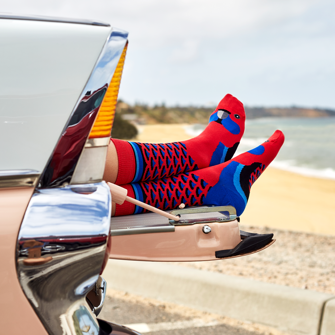 Crimson Rosella Socks, Designed and Made in Australia, Gifts for Bird Lovers