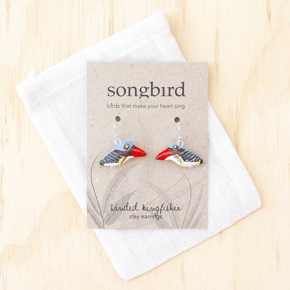 Banded Kingfisher Earrings