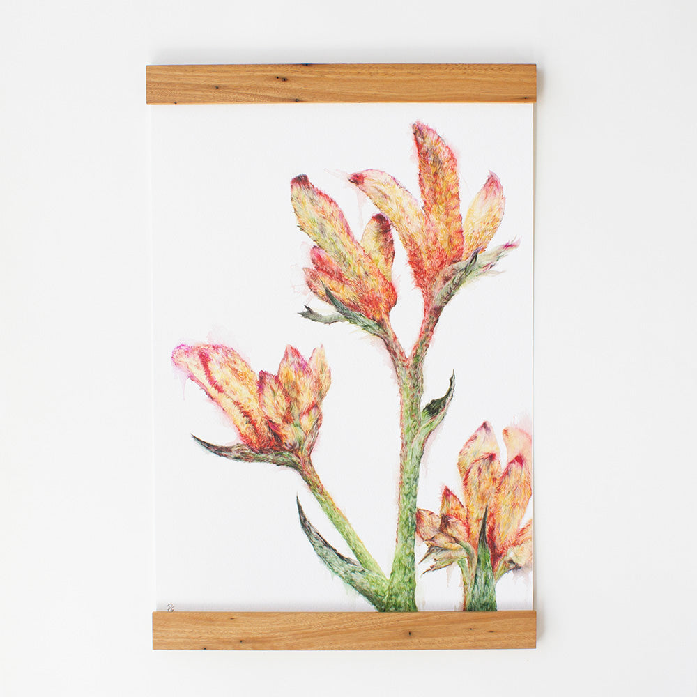 Reclaimed Hardwood Pressi Frame by Cornerblock Studio, Songbird Collection Australia