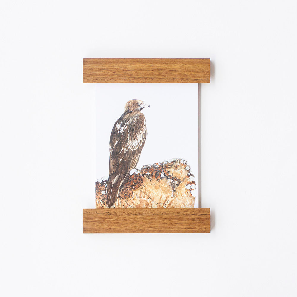 Reclaimed Hardwood Pressi Frame by Cornerblock Studio, Songbird Collection Australia