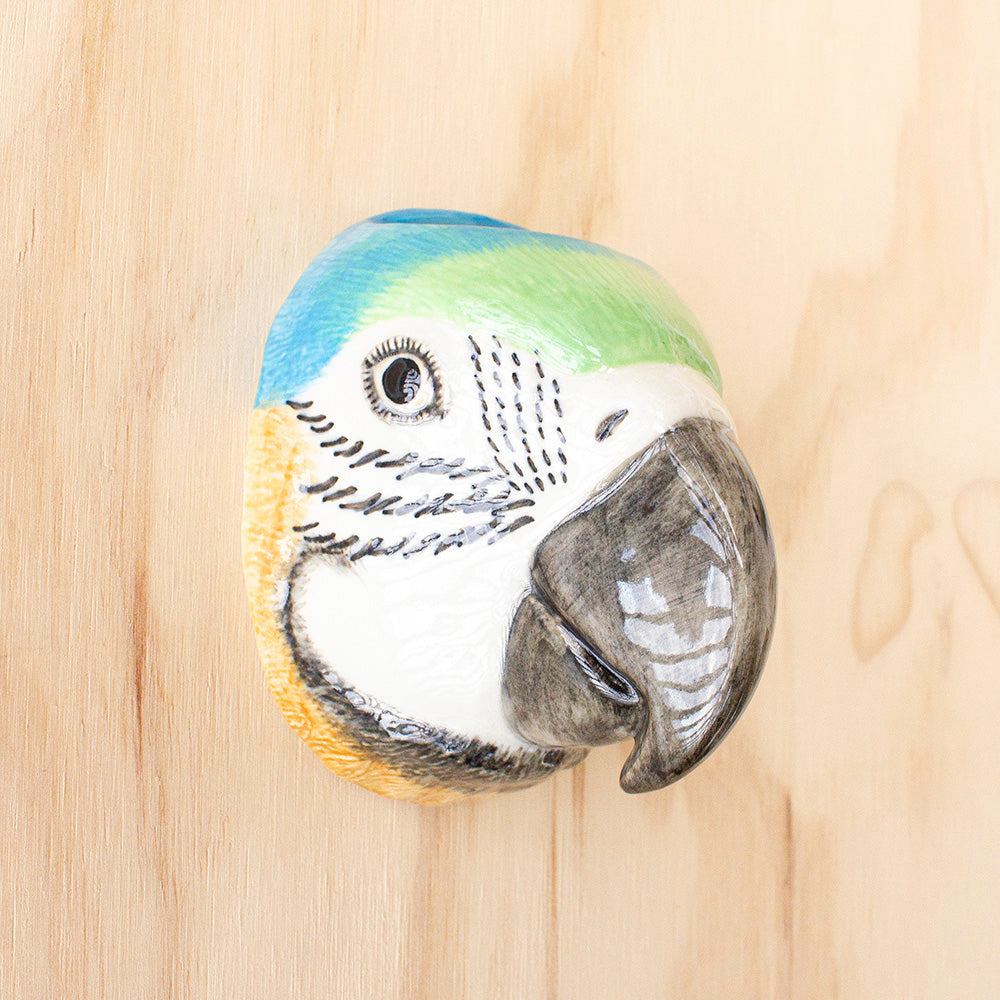 Macaw Wall Vase by Quail Ceramics, Jewellery & Gifts for Bird Lovers, Songbird Collection Australia