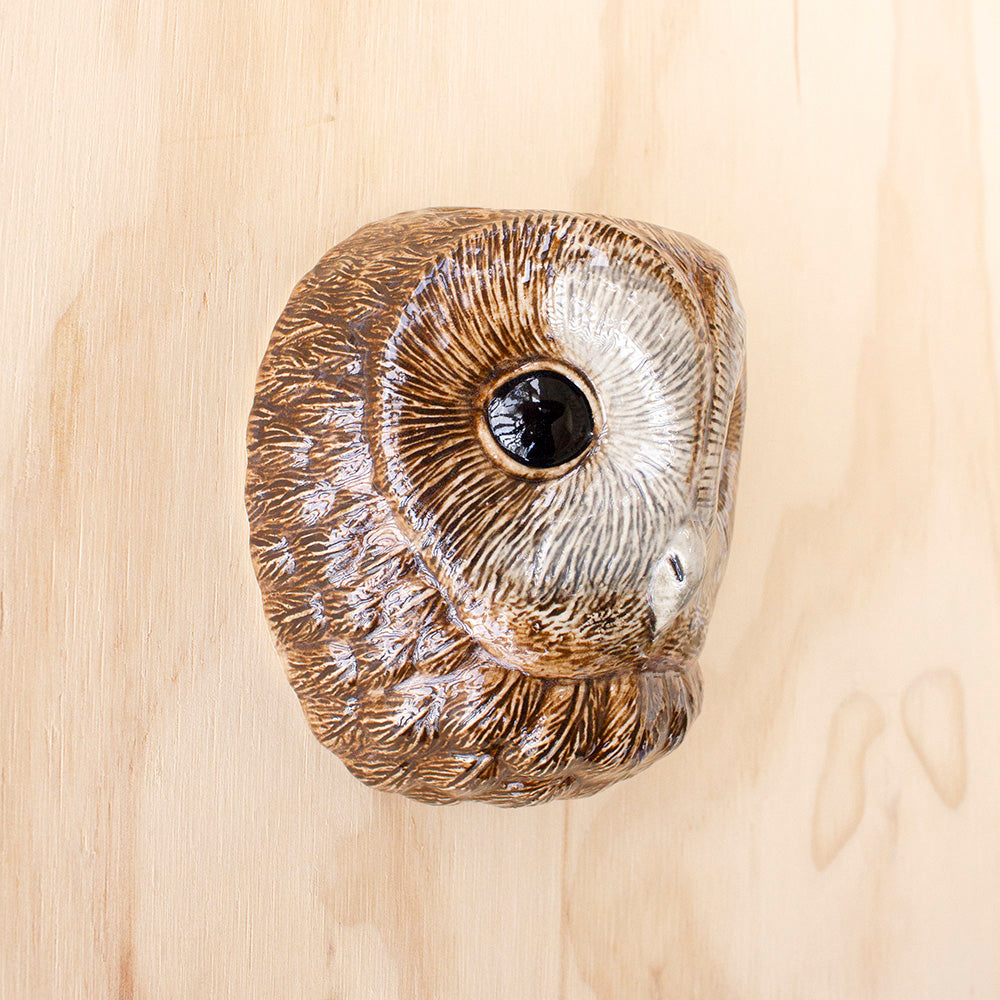 Tawny Owl Wall Vase by Quail Ceramics, Jewellery & Gifts for Bird Lovers, Songbird Collection Australia