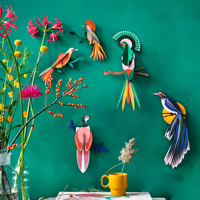 Birds of Paradise Wall Art, Recycled Paper, Designed in the Netherlands by Studio Roof, Songbird Australia