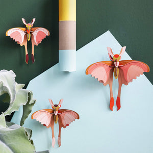 Comet Butterfly, Set of 3