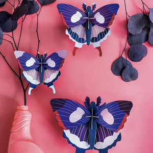Swallowtail Butterfly Set of 3 by Studio Roof, Songbird Collection Australia