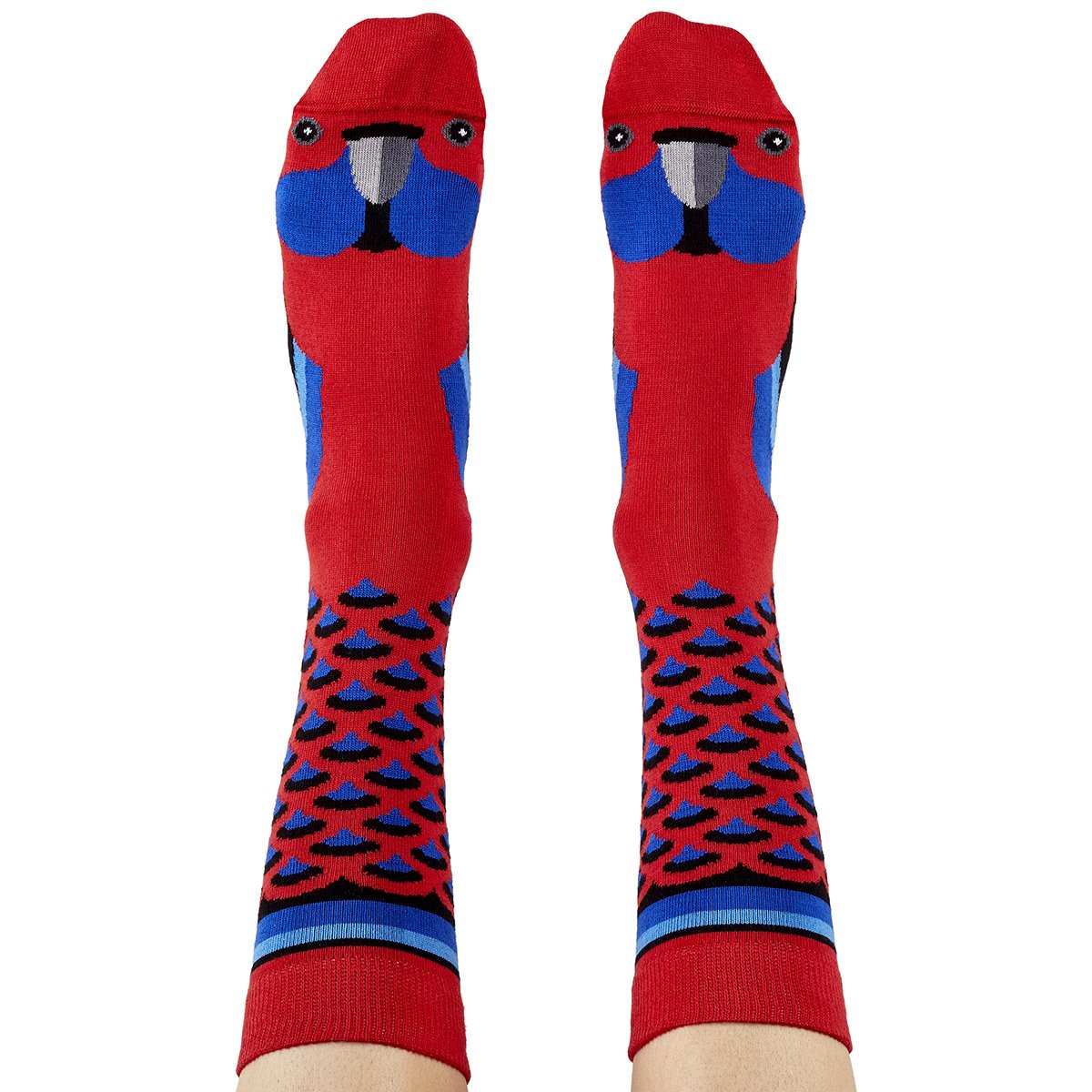 Crimson Rosella Socks, Designed and Made in Australia, Gifts for Bird Lovers